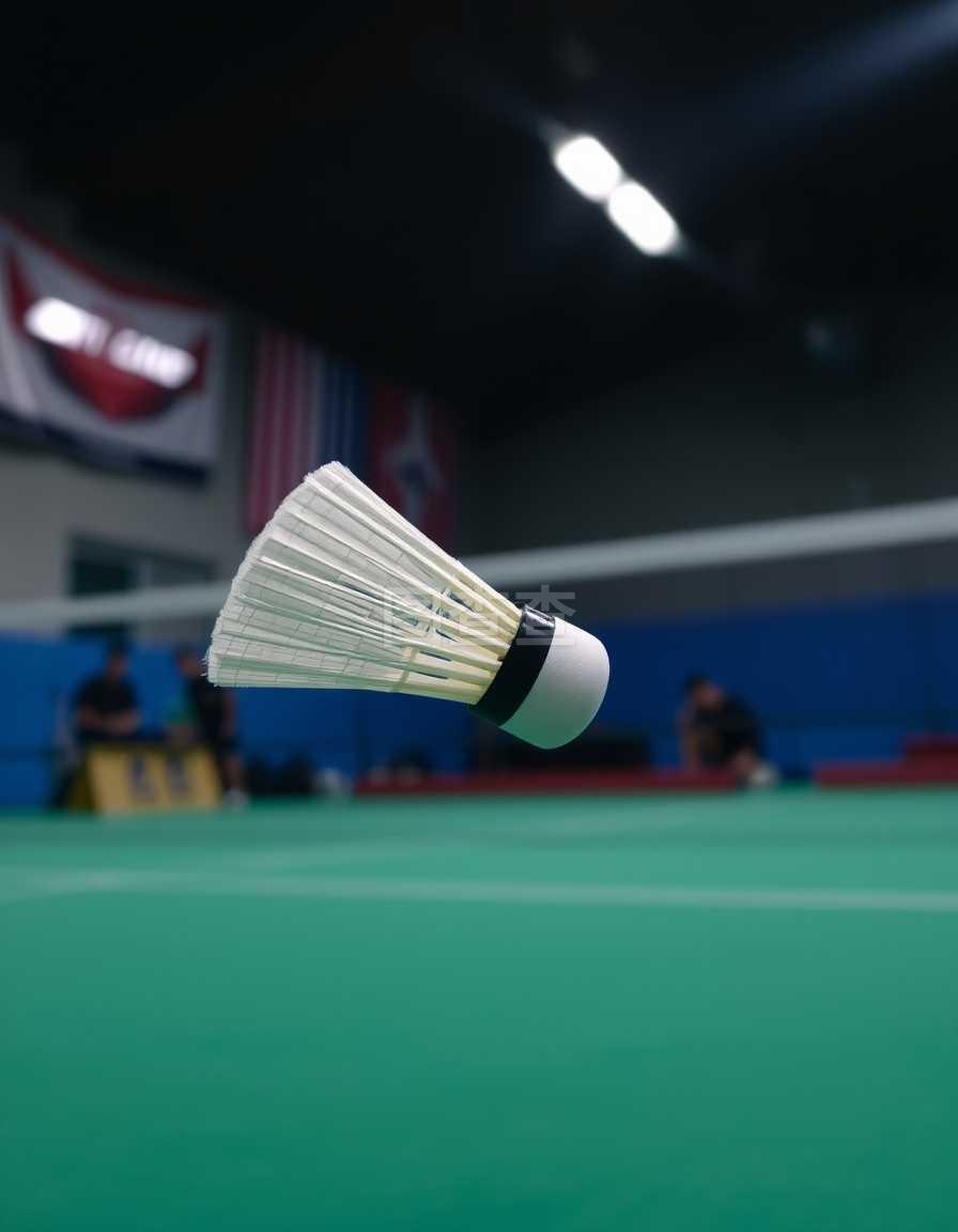 辛勤训练的 辛勤训练的